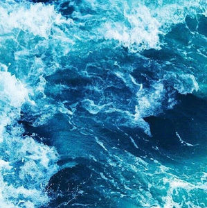 Meet your Posher, Cecilie